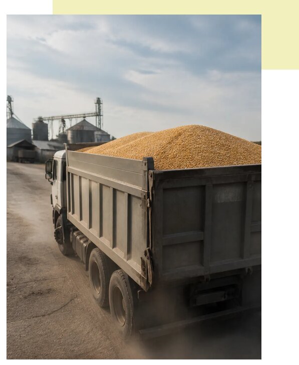 Перевозка сельхозпродукции навалом в Каменку по цене от 3035 р. | Агросервис-Кам