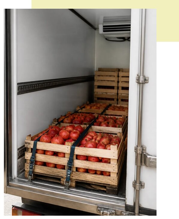 Перевозка гранатов автотранспортом в Каменку по цене от 5058 р. | Агросервис-Кам